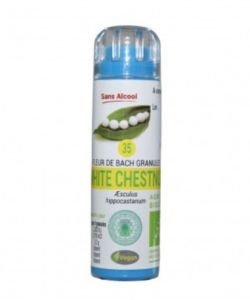 Marronnier blanc - White Chestnut (n°35) SANS ALCOOL